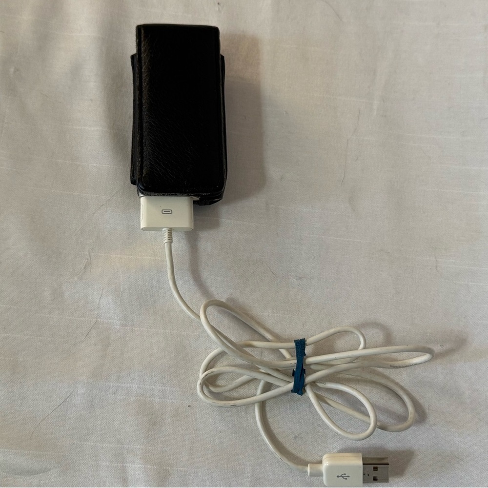 Apple iPod Mini 2GB Silver w Case & Charger Works